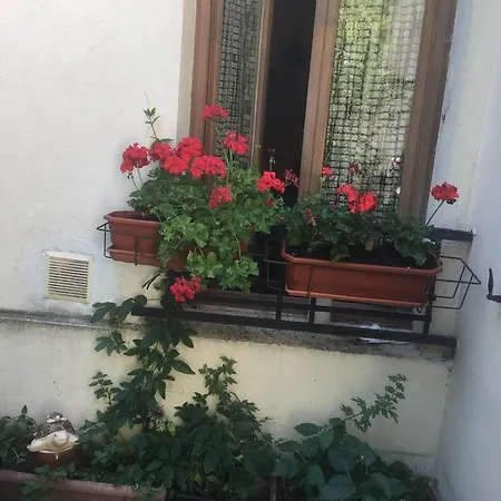 Studio Rue Lepic Appartamento
